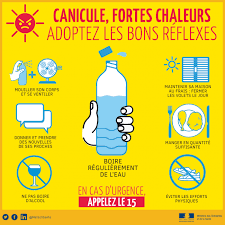 caniculeprecautions
